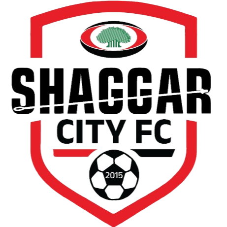 Hawassa City Fc Women