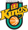 Hogsbo Basket