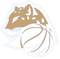 Levhartice Chomutov B Women