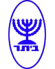 Maccabi Lroni Amishav Petah Tikva