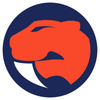 Sandringham Sabres