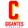 Leones de Ponce