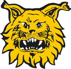 TPS Turku